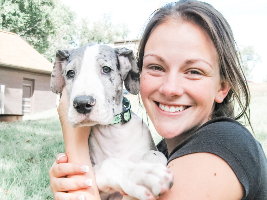 girl with merle great dane puppy outside in grass