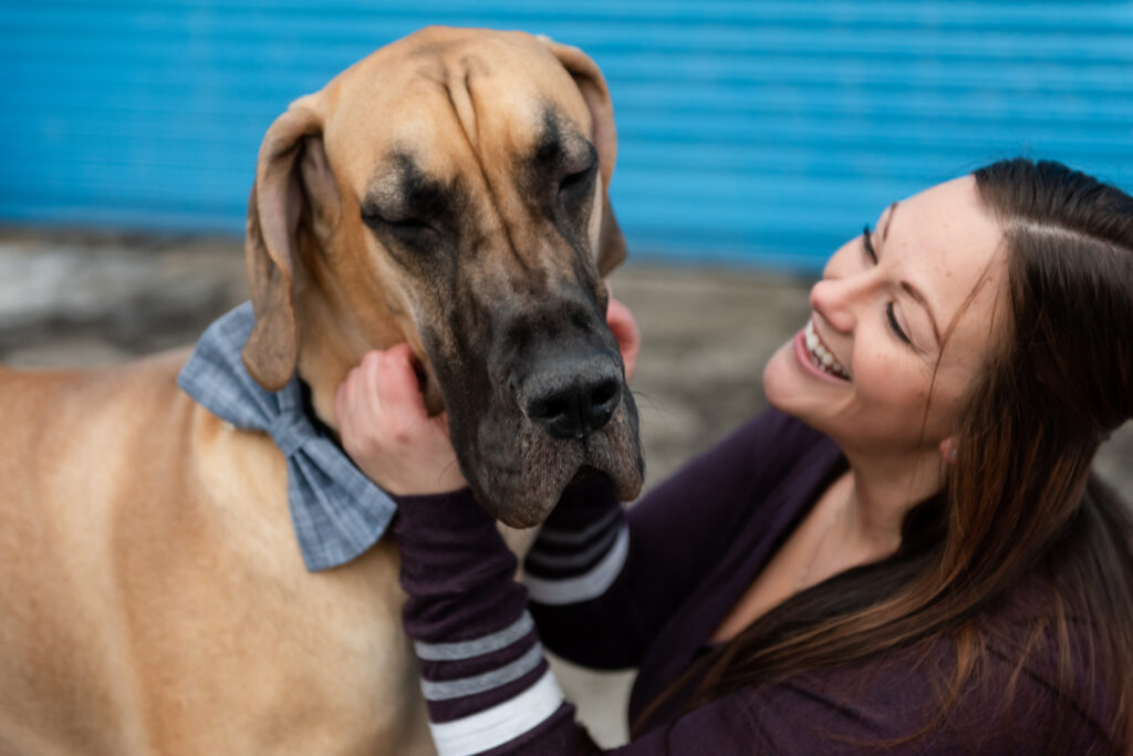 woman with fawn great dane, laughing and petting dog